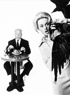 hitchcock-and-the-birds-l-rtrldz